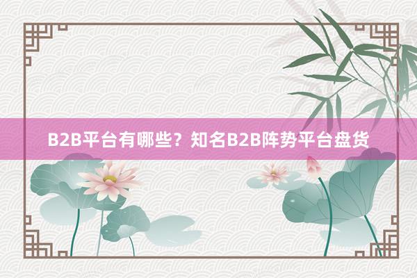 B2B平台有哪些？知名B2B阵势平台盘货